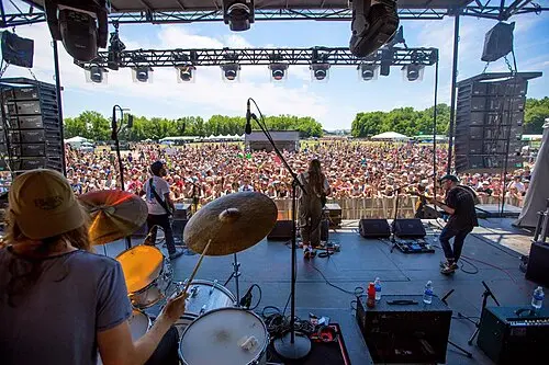 The Lonely Biscuits