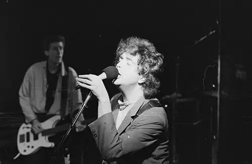 The Icicle Works
