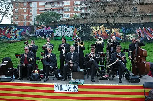 Cobla Els Montgrins
