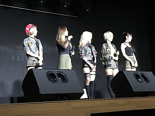 BULLDOK