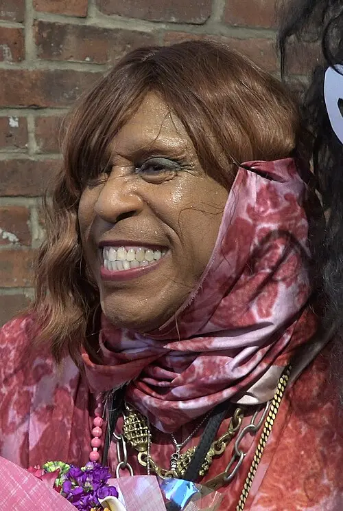 Vaginal Davis