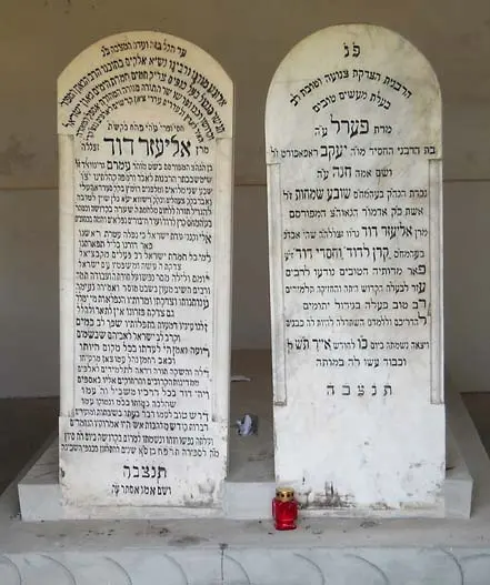 אליעזר דוד גרינוולד