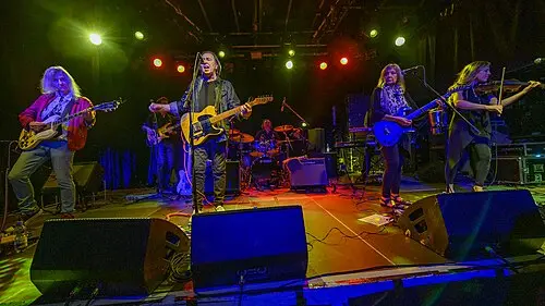 Pavlov’s Dog