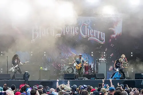 Black Stone Cherry