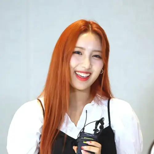 초원