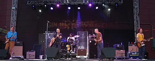 Gin Blossoms