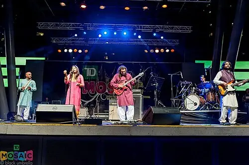 Mekaal Hasan Band