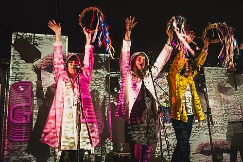 Superorganism