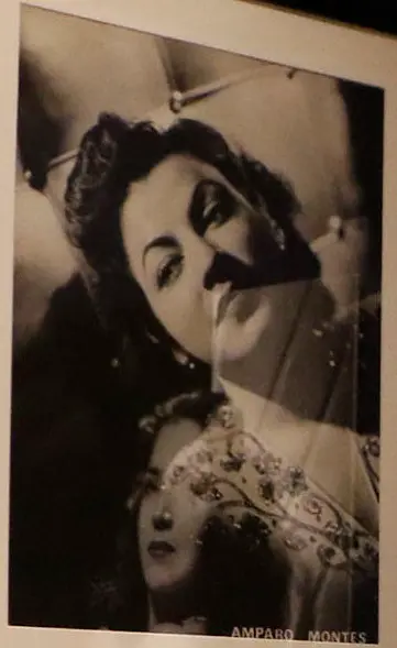 Amparo Montes