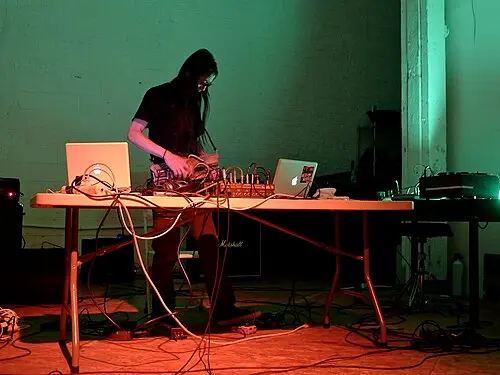 Merzbow