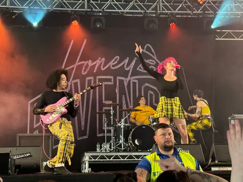 Honey Revenge