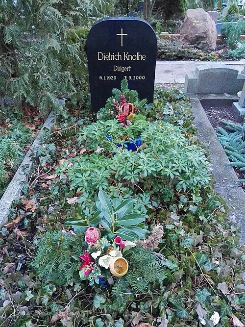Dietrich Knothe