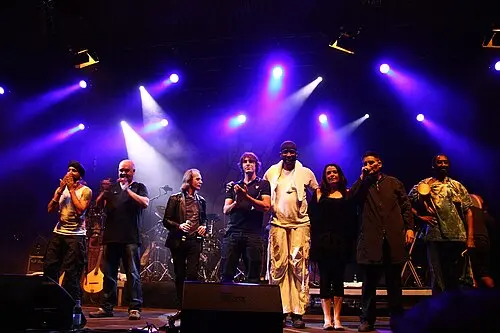 Afro Celt Sound System