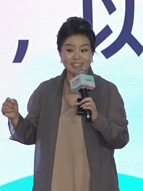 龚琳娜