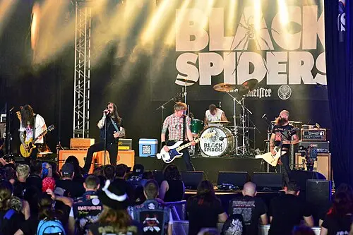 Black Spiders