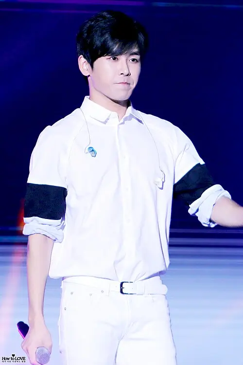 호야