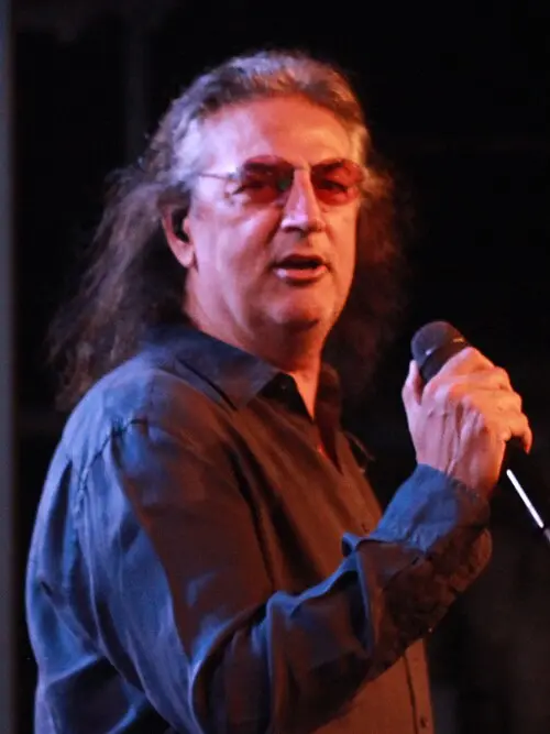 Çelik