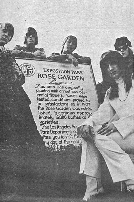 The Rose Garden