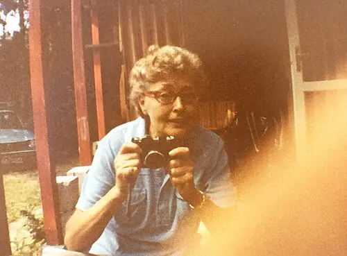 Nete Schreiner