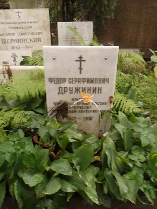 Fedor Druzhinin