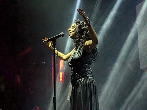 שלומית לוי