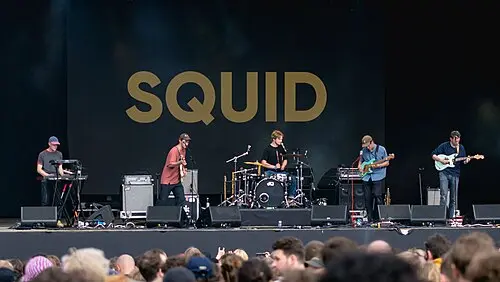 Squid
