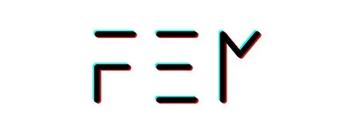 F.E.M