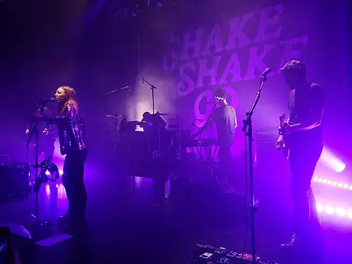 Shake Shake Go