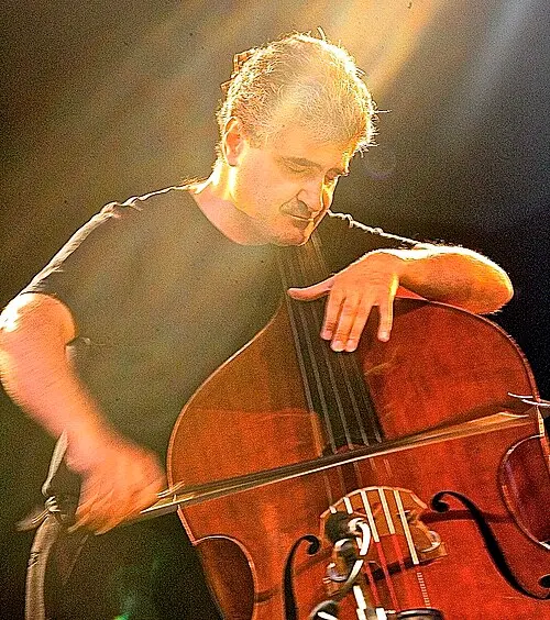 Renaud Garcia‐Fons