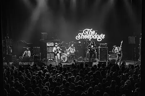 The Sheepdogs