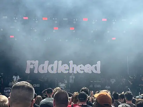 Fiddlehead