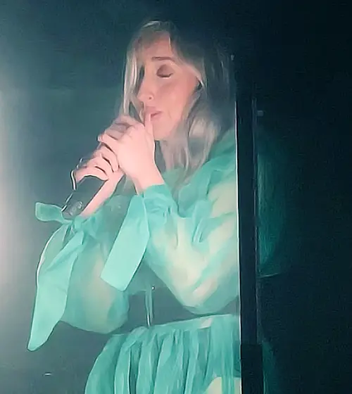 Lingua Ignota