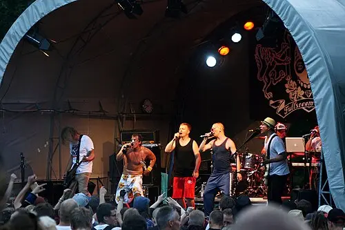 Notkea Rotta