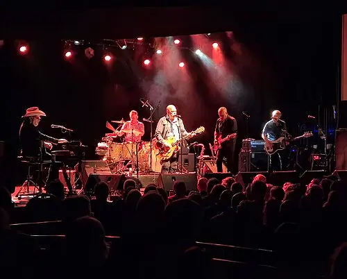 The Black Sorrows