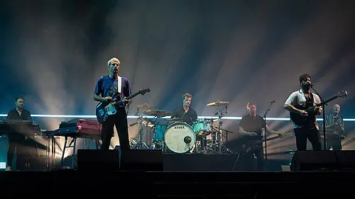 Foals