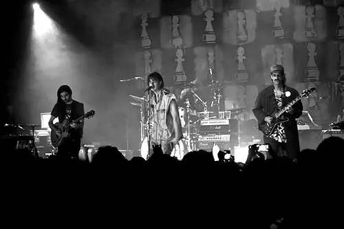 The Voidz