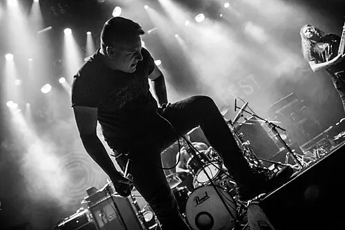 Disentomb