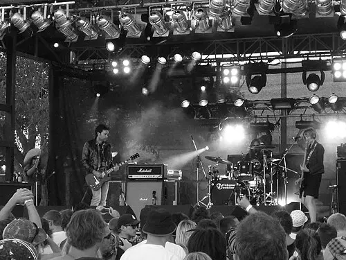Spiderbait
