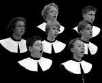 Cantores Minores