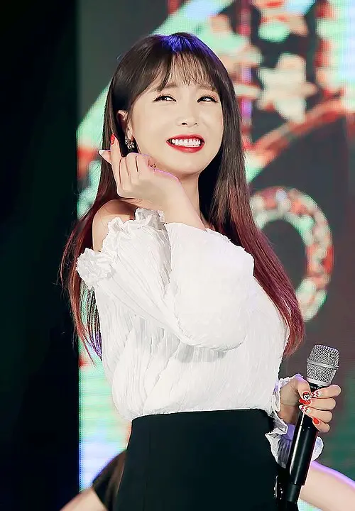 홍진영