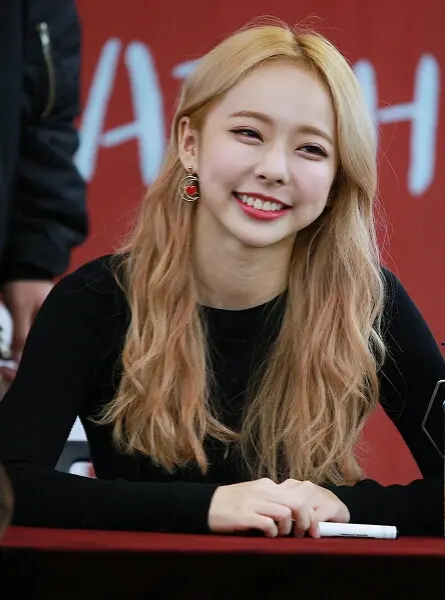 ViVi