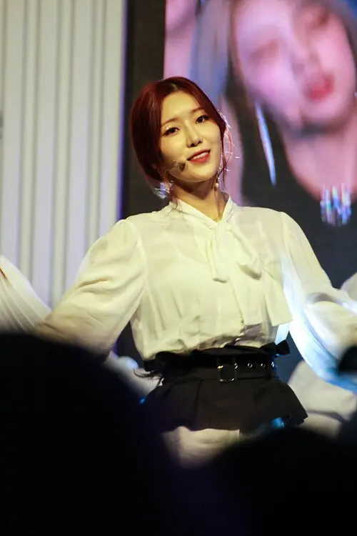 다원