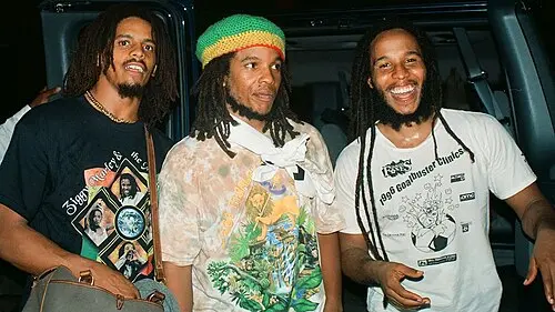 Ziggy Marley and the Melody Makers
