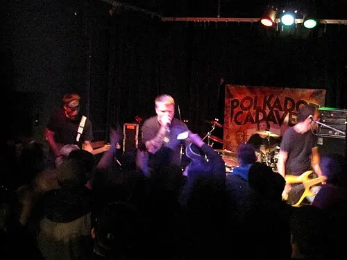 Polkadot Cadaver