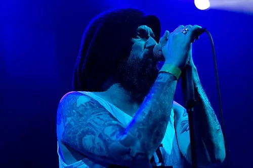 Mikko Kotamäki