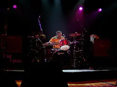 Steve White