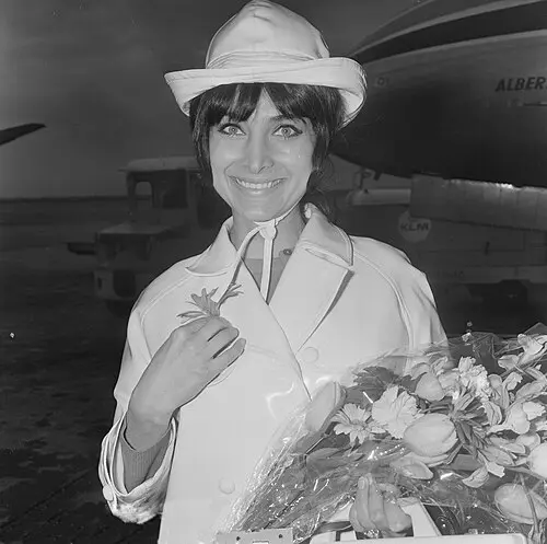 Dunja Rajter
