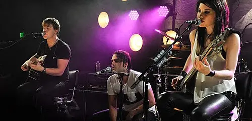 Sick Puppies