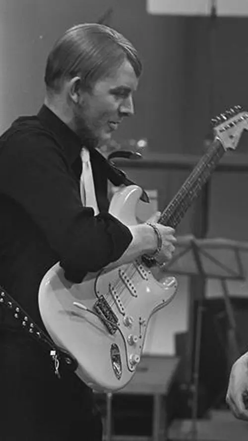 Vic Briggs