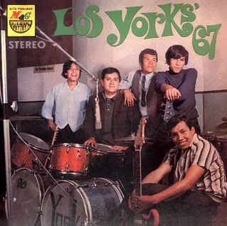 Los York’s